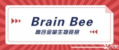 神經(jīng)科學(xué)生必選的Brain Bee腦科學(xué)大賽詳解，5-12年級均可參加