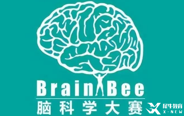 BrainBee腦科學(xué)競(jìng)賽輔導(dǎo)|競(jìng)賽時(shí)間/適合對(duì)象/參賽形式