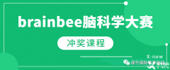 BrainBee競賽為何值得參加？BrainBee培訓(xùn)課程推薦