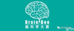 Brain Bee競賽如何報名？地區(qū)/全國/國際賽事都考什么？