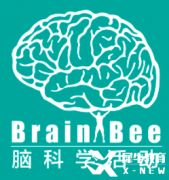 Brain bee腦科學(xué)競(jìng)賽報(bào)名即將開啟，5-12年級(jí)均可參加的生物競(jìng)賽~