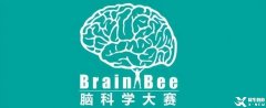 北上廣深牛娃都在參加的brainbee腦科學(xué)競賽是什么？普娃能參加嗎？