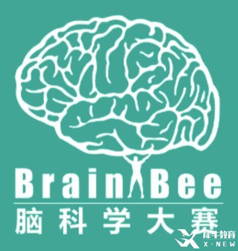 Brain Bee腦科學(xué)大賽