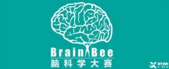 為什么Brain Bee腦科學(xué)大賽越來越受歡迎？附24年Brain Bee比賽時間