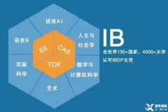 太全了！一文詳解IB課程體系！附9-12年級IB升學時間軸