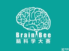 零基礎(chǔ)可以參加什么生物競賽？BrainBee腦科學(xué)培訓(xùn)輔導(dǎo)課程推薦！