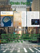 Brainbee腦科學(xué)大賽是什么？犀牛Brainbee競(jìng)賽培訓(xùn)班還在招生中……