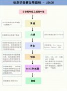 USACO對比NOIP，兩大計算機競賽怎么選？