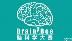 Brainbee腦科學(xué)大賽，零基礎(chǔ)居然也能參加的生物競(jìng)賽！