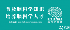 2025BrainBee腦科學(xué)大賽開(kāi)始報(bào)名！BrainBee報(bào)名考試時(shí)間/報(bào)名方式/考試大綱奉上！