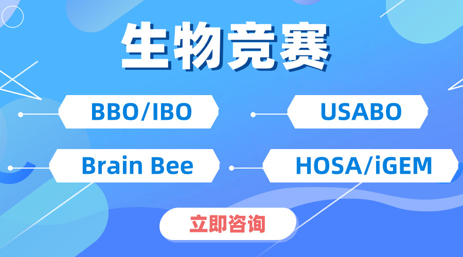 USABO與BBO的雙賽并行，不僅是獎(jiǎng)項(xiàng)的疊加，更是能力的飛躍！